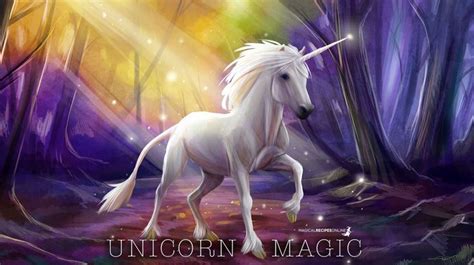 Who Is The Unicorn Lore And History Of This Wonderful Rare Creature