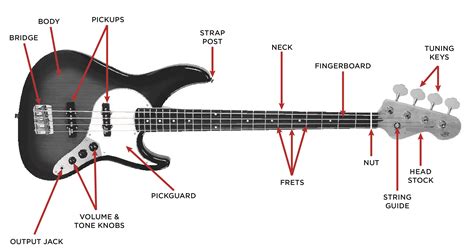 Like the electric guitar, the bass guitar has pickups and it is plugged into an amplifier and speaker for live performances. Fender P Bas Wiring Diagram - Wiring Diagram & Schemas