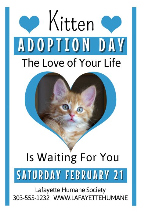Kitten Adoption Template Postermywall