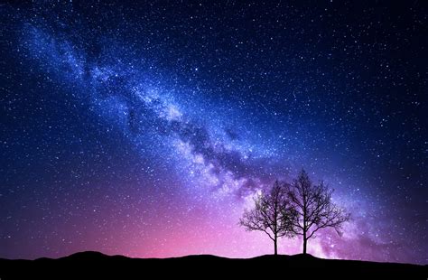 Wallpaper Starry Night Milky Way Tress Night Sky Desktop Wallpaper