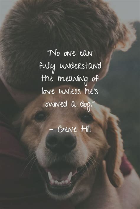25 Dog Quotes About Love And Loyalty Dog Quotes Dog Quotes Love Dog