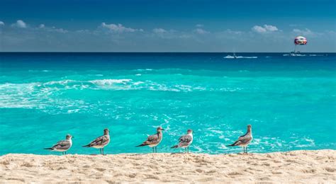 Yucatán Peninsula Travel Lonely Planet 2022