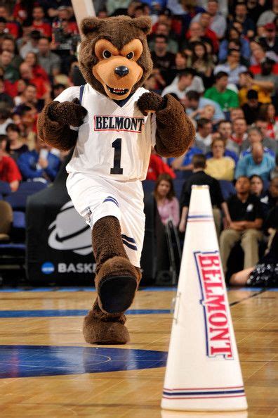 Belmont Bruins Mascot Bruiser The Bear Belmont Bruins Mascot