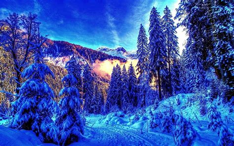 1920x1080px 1080p Free Download Cold Snowy Winter Landscape