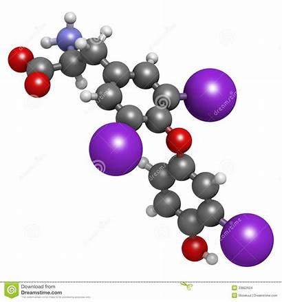 Hormone Triiodothyronine Chemical Molecule Liothyronine T3 Structure