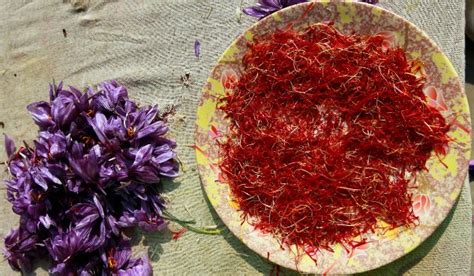 6 Manfaat Bunga Saffron Rempah Termahal Yang Banyak Khasiatnya