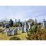 Historic Oakland Cemetery In Atlanta  Tours Gardens Festivals & More