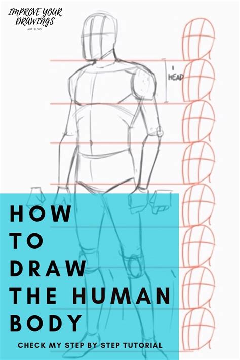 How To Draw The Human Body Step By Step How To Draw A Person Tutorial Human Drawing Drawings