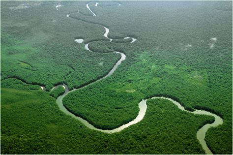 Amazonas La Selva Mas Extensa Del Mundo Enviajes