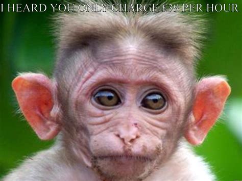 Monkey Makeup Meme Mugeek Vidalondon