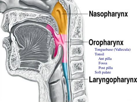 Oropharynx Cancer Practical Target Delineation 2013 Apr