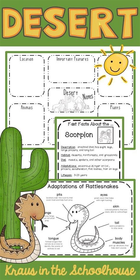 Desert Plants And Their Adaptations Plants Bs