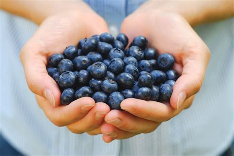 Blueberries Can Help Reduce Blood Pressure And Arterial Stiffness