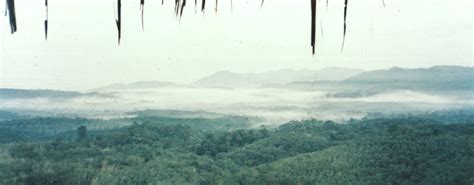 The dusun is located in mukin pantai, negeri sembilan. Tropical Rainforest Resort | the DusunThe Dusun | A little ...