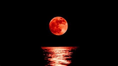 Luna de sangre by kyntral, released 12 february 2020 1. Significado de Luna de sangre | Qué es, concepto y definición
