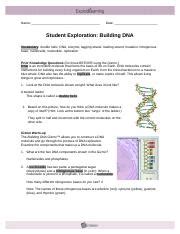 Pdf drive investigated dozens of problems and listed the biggest global issues facing the world today. Building DNA Gizmo pdf - Name Date Student Exploration Building DNA Vocabulary double helix DNA ...