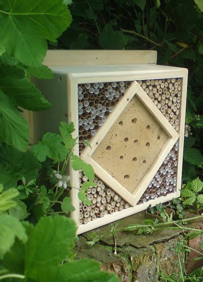 Habitats At Home Bug Boxes For Smaller Spaces Insect Week