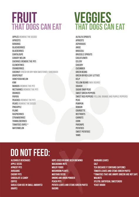 Overall best dog food for active dogs: printable list of toxic foods for dogs - PrintAll
