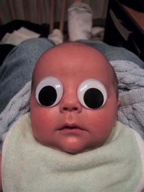 50 Funny Pics That Prove Googly Eyes Make Everything Look Better Bored Panda