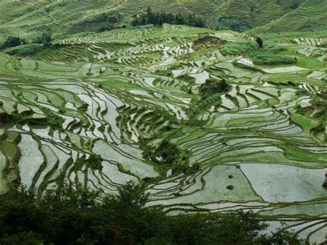 Honghe Hani Rice Terraces Yuanyang Yunnan Travel Discover China Tours