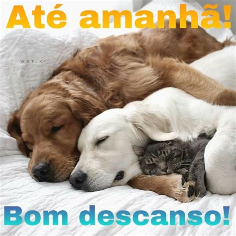 Boa Noite Bom Feriado Amanhã