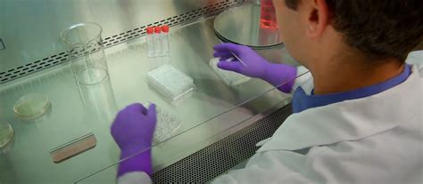 Maybe you would like to learn more about one of these? Proper Biosafety Cabinet Maintenance and Certification ...
