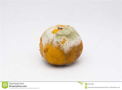 Closeup To Bad Smell Rotten Orange On White Background Isolated Stock