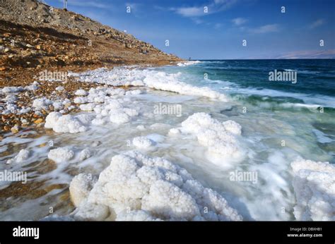 Dead Sea Israel Salt Formations Stock Photo Alamy