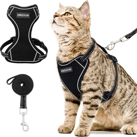 Kitchen And Dining Cat Harness And Leash Set Escape Proof Safe Cat