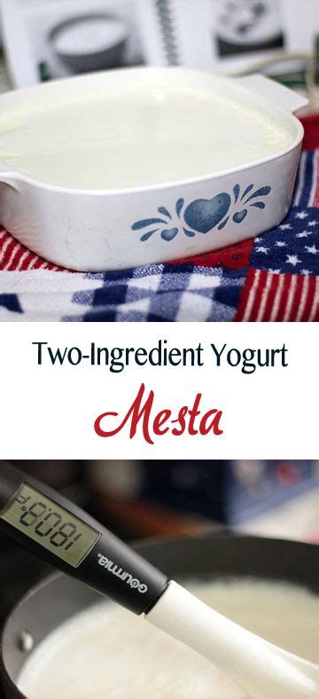 Homemade Yogurt Recipe Easy Assyrian Recipe Hilda S Kitchen Blog