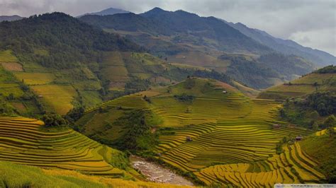 Rice Terraces Hd Wallpapers Top Free Rice Terraces Hd Backgrounds