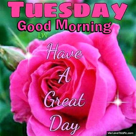 Tuesday Good Morning Have A Great Day Pictures Photos
