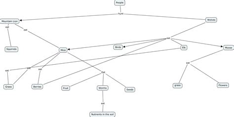 3.7 do lions eat grass? Wolves Food Map 3 - What is the food chain between ...