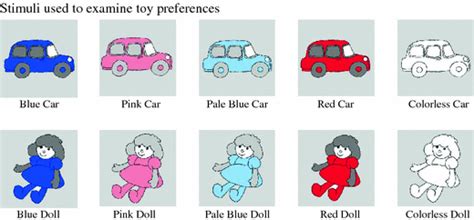 Infants Preferences For Toys Colors And Shapes Sex Differences And