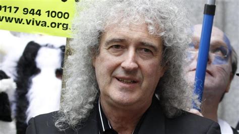 How can i go on?(видео, 1988). Queen: Brian May hatte nach Tod von Freddie Mercury ...