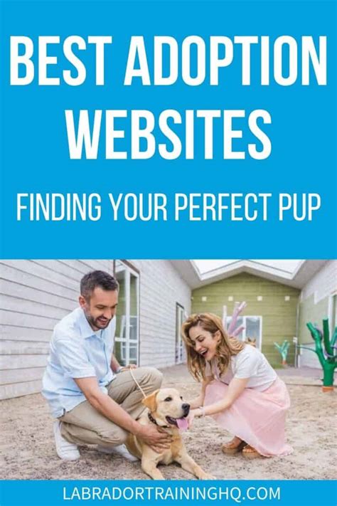 Best Dog Adoption Websites For Finding Your Perfect Pup