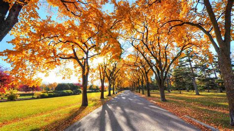 Park Landscape Autumn Mac Wallpaper Download Allmacwallpaper
