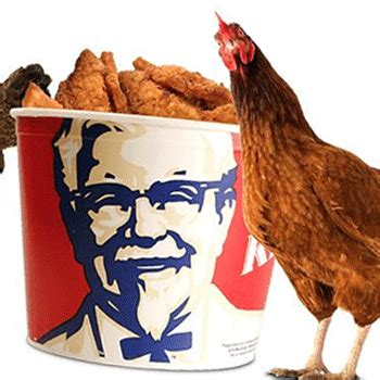 They helped define the early internet, and they're more popular now than ever before. Kfc GIF - Find on GIFER