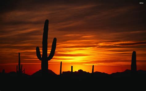 Arizona Desert Sunset Wallpapers Top Free Arizona Desert