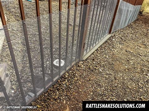 Snake Fence And Arizona Rattlesnake Prevention Fencing Installation