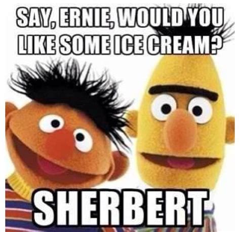 167 Best Sesame Street Memes Images Sesame Street Memes Hilarious Jokes