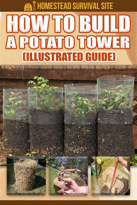 How To Build A Potato Tower Illustrated Guide Potato Gardening