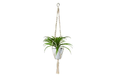 Hanging Faux Spider Plant Oxford Street