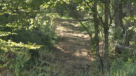 Woman Found Naked In The Woods In Martin County