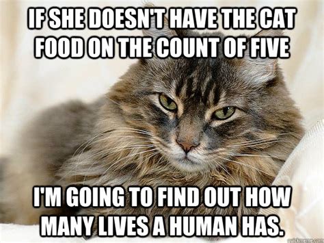 Cat Food Memes Quickmeme
