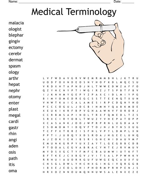 Medical Terminology Word Search Printable