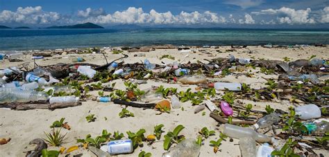 Garbage On The Beach Is Bad For Your Mental Health Hakai Magazine