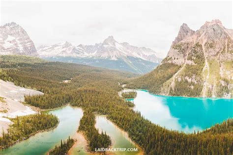 A Complete Guide To Lake Ohara In Yoho National Park — Laidback Trip