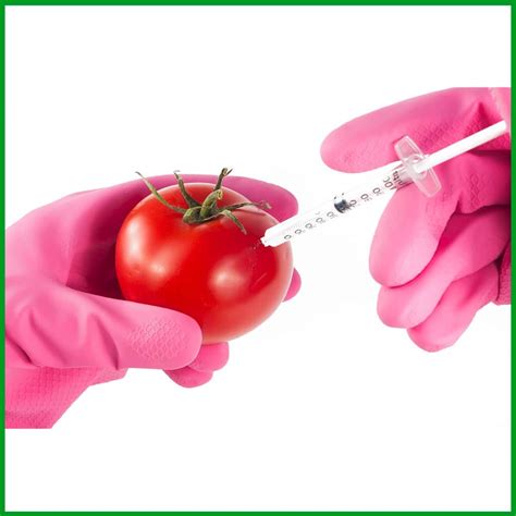 Genetically Modified Foods The Pros And Cons