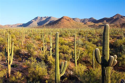 Best Places To Visit In Arizona